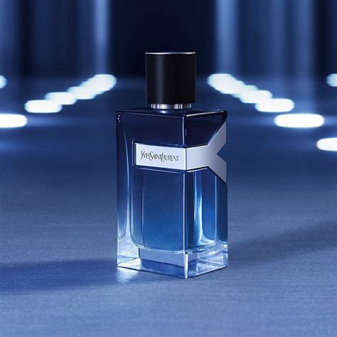 fragrantica yves saint laurent y